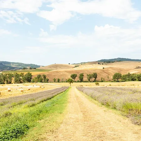 Agriturismo Selvoli - La Scuola-3